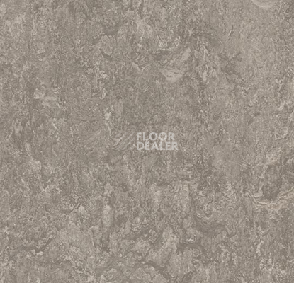 Кварцвиниловые полы Forbo Marmoleum Modular t3146 serene grey фото 1 | FLOORDEALER